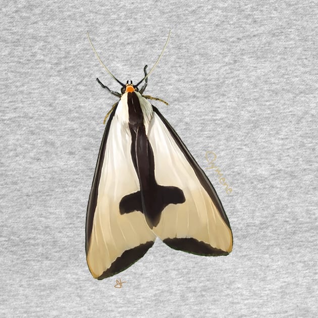 Clymene Moth Hidin', Clymene Moth Showin' by John Himmelman